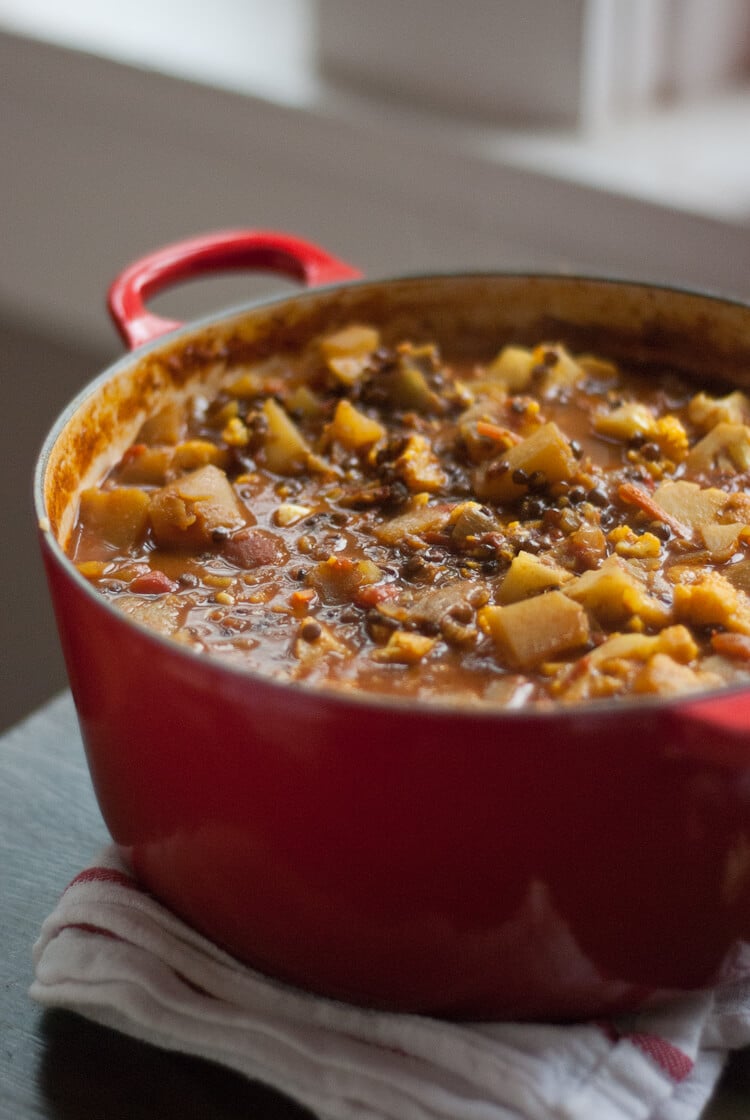 lentil vegan curry lentil vegan curry