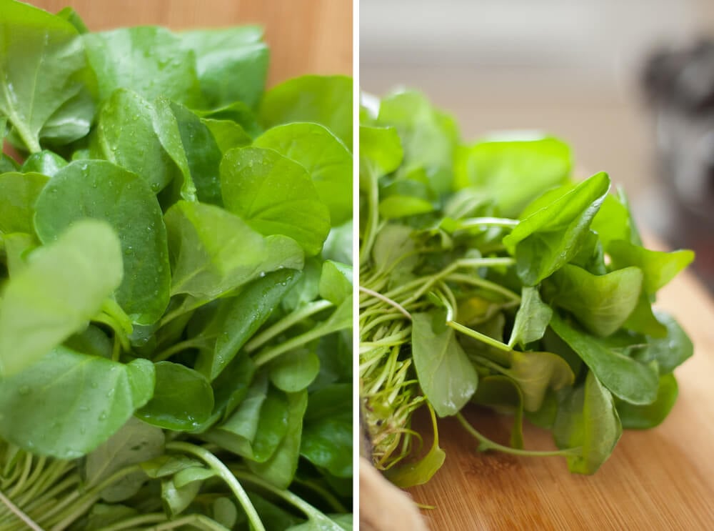 watercress watercress