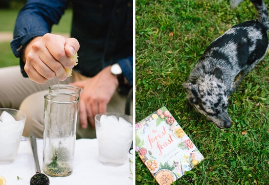 mojito cookbook