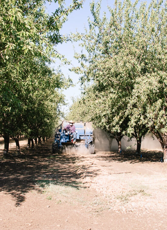 almond sweeper