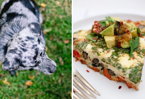 frittata