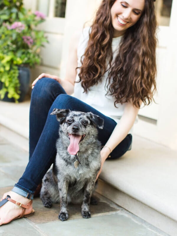 Cookie the dog